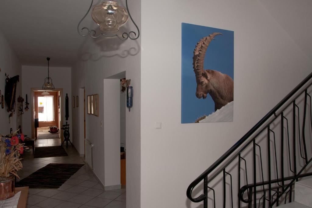 Appartements Schmalzerhof غريس ام سيلراين المظهر الخارجي الصورة